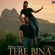 Tere Bina - Salman Khan Mp3 Song